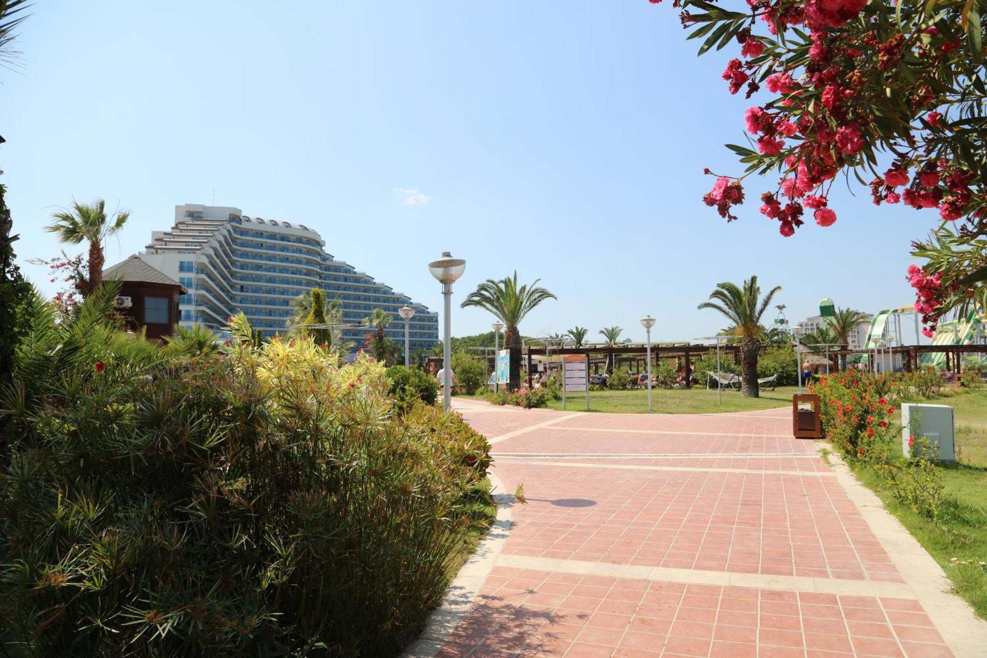 Venosa Beach Resort & Spa ディディム エクステリア 写真