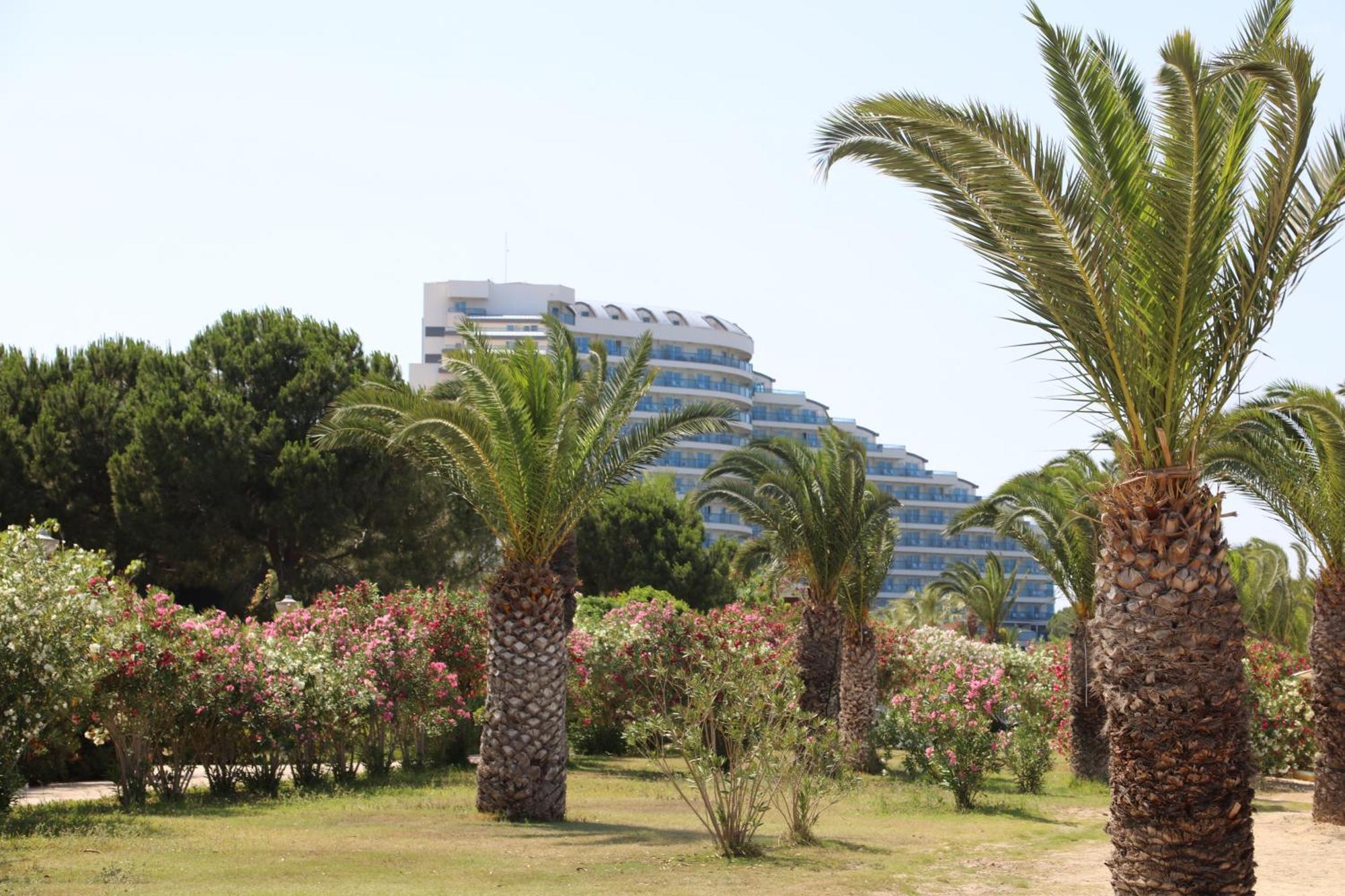 Venosa Beach Resort & Spa ディディム エクステリア 写真